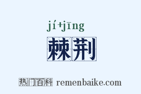 棘荆是什么意思的图片